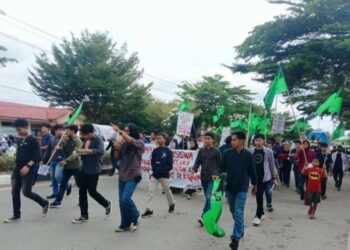 HMI Kolaka Desak ESDM Tidak Menyetujui RKAB PD. Aneka Usaha Kolaka