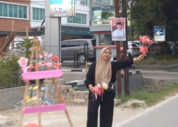 Enggan Buang Kesempatan, Penjual Bunga Jajakan Jualan di Sepanjang Jalan Bypass Jelang Valentine