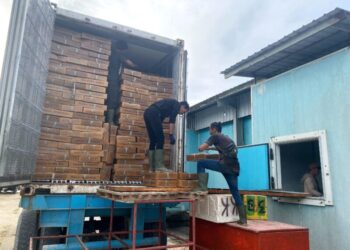 Kembali Lakukan Misi Dagang, Kadin Sultra Kirim 51 Ton Hasil Laut ke Jatim
