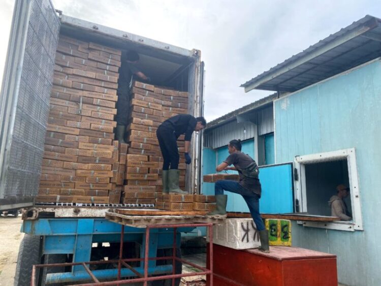 Kembali Lakukan Misi Dagang, Kadin Sultra Kirim 51 Ton Hasil Laut ke Jatim