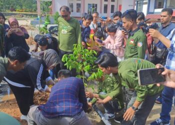 Jelang Mubes III, Ika Alumni FISIP UHO Lakukan Aksi Lingkungan Tanam Ratusan Pohon