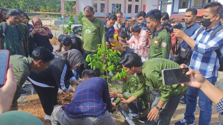 Jelang Mubes III, Ika Alumni FISIP UHO Lakukan Aksi Lingkungan Tanam Ratusan Pohon