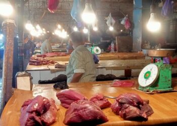 Harga Daging Sapi Normal, Ayam dan Ikan di Pasar Mandonga Kendari Naik 10 Hari Jelang Ramadhan