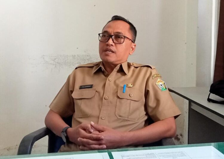 25 Hektare Hutan Mangrove di Provinsi Sultra Bakal Direhabilitasi
