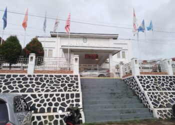 Amirul Tamim Jadi yang Kedua Ajukan Diri Sebagai Bakal Caleg di KPU Sultra