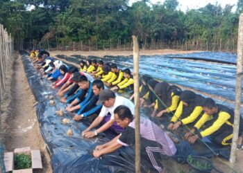 SMKS Dibawah Naungan Yayasan Mitra Karya Persada Muna Laksanakan Giat Peningkatan Ketahanan Pangan se Sultra