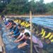 SMKS Dibawah Naungan Yayasan Mitra Karya Persada Muna Laksanakan Giat Peningkatan Ketahanan Pangan se Sultra