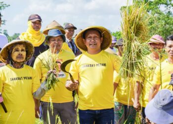 La Ode Darwin Hadiri Panen Raya, Petani Doakan Pimpin Muna Barat di 2024