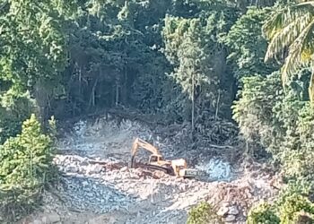 Diduga Penambangan Batu Kapur Ilegal Merusak Lingkungan Di Desa Tamborasi