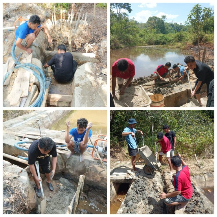 Tim PKM-KKN Tematik Teknik Sipil UHO Bantu Perbaiki Tanggul Bendungan Lalouesamba dengan Gunakan Selimut Beton Kedap Air