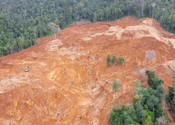 Sejumlah Keanehan Perkara Direktur PT Roshini, DPO Hingga Diisukan Bebas