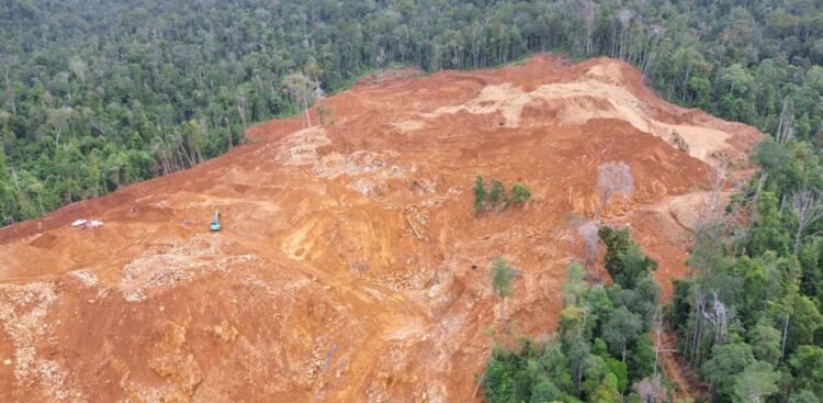 Sejumlah Keanehan Perkara Direktur PT Roshini, DPO Hingga Diisukan Bebas