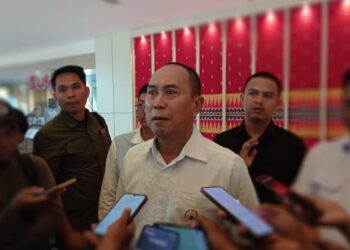 DPW PPP Sultra Siap Perangi Hoax Jelang Pemilu 2024