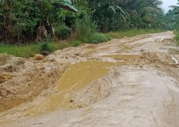 Wow! Dari Era Orde Baru Hingga Era Reformasi Jalan Warga di Patuho dan Lambodi Jaya Tidak pernah Tersentuh Aspal