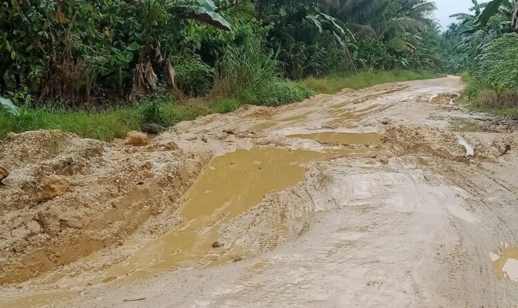 Wow! Dari Era Orde Baru Hingga Era Reformasi Jalan Warga di Patuho dan Lambodi Jaya Tidak pernah Tersentuh Aspal