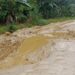 Wow! Dari Era Orde Baru Hingga Era Reformasi Jalan Warga di Patuho dan Lambodi Jaya Tidak pernah Tersentuh Aspal
