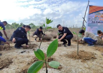 Hijaukan Teluk Kendari, Bid Humas Polda Sultra Bersama Insan Pers Tanam Mangrove