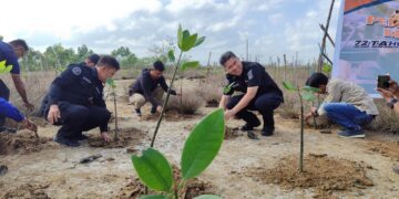 Hijaukan Teluk Kendari, Bid Humas Polda Sultra Bersama Insan Pers Tanam Mangrove