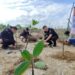 Hijaukan Teluk Kendari, Bid Humas Polda Sultra Bersama Insan Pers Tanam Mangrove
