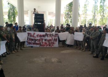 Demo di Kantor Bupati, BKPSDM dan DPRD Muna, Ratusan Honorer Satpol PP Tuntut Diangkat Jadi ASN