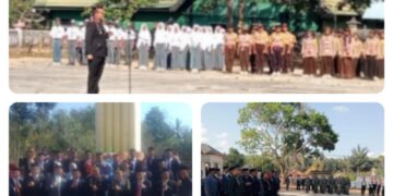 Upacara Hari Pahlawan ke-78 di Taman Makam Pahlawan Watuputih, Kapolres Muna jadi Inspektur