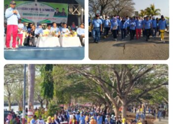 Wakil Bupati Muna Melepas Peserta Jalan Sehat dan Senam bersama dalam Rangka Hari Kesehatan Nasional ke-59 