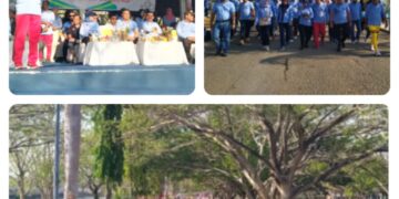 Wakil Bupati Muna Melepas Peserta Jalan Sehat dan Senam bersama dalam Rangka Hari Kesehatan Nasional ke-59 