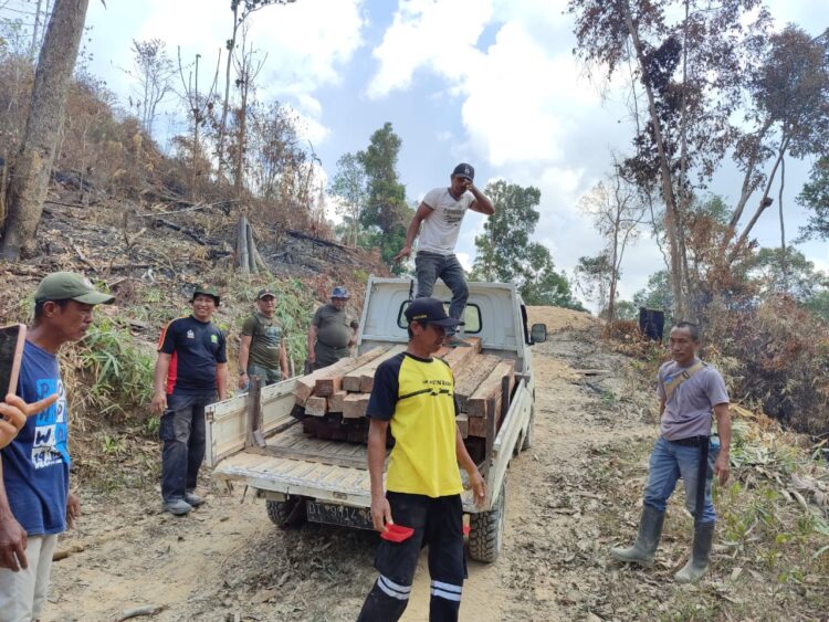 Puluhan Batang Kayu Olahan di Hutan Nanga-nanga di Sita Dishut Sultra