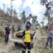 Puluhan Batang Kayu Olahan di Hutan Nanga-nanga di Sita Dishut Sultra
