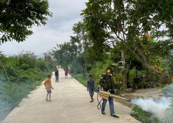 Sasar Kecamatan Kambu, Ketua FPRB Sultra Masifkan Fogging Cegah Penyebaran Penyakit DBD