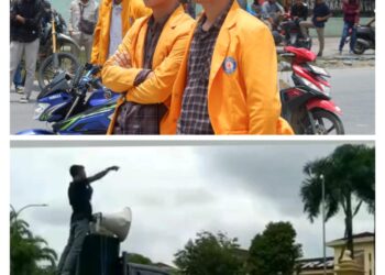 BEM UHO dan JAM Sultra Soroti Kinerja Pj Gubernur yang Lambat Tangani Bencana Banjir
