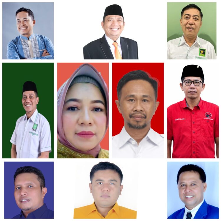 Para Jagoan di Dapil IV Propinsi Sulawesi Tenggara