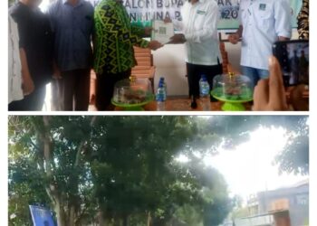 Luar Biasa! Diantar Ribuan Masyarakat, Bacalon Bupati Muna Bachrun Labuta Kembalikan Berkas ke PKB dan PKS
