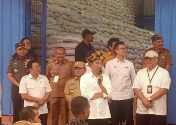 Berkunjung ke Muna, Presiden Jokowi Disambut Meriah Puluhan Ribu Warga 