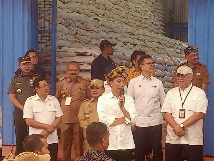 Berkunjung ke Muna, Presiden Jokowi Disambut Meriah Puluhan Ribu Warga 