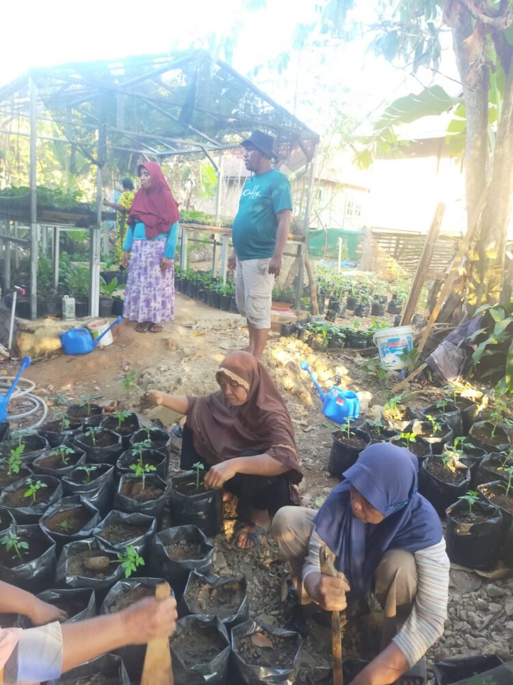 Dinas Pertanian Muna Terus Galakan Program Pekarangan Pangan Lestari