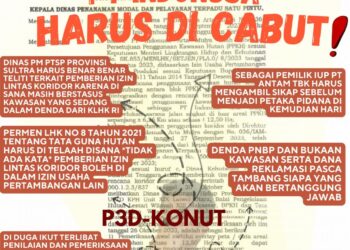 P3D Konut Soroti Izin Lintas Koridor PT Indonusa di WIUP PT Antam Tbk yang Diduga Tabrak Sejumlah Aturan 