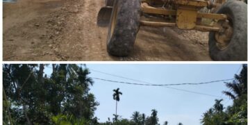 Tahun Ini, Jalan ke Pabrik Jagung dan Dua Ruas Jalan di Kabawo Akan Dirampungkan
