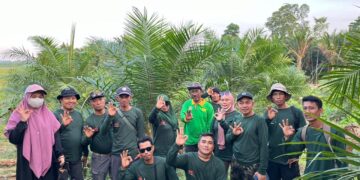 Tingkatkan Kapasitas dan Produktivitas, SPKS Lakukan Pelatihan Budidaya Sawit Kepada Petani Sawit Swadaya di Konut 
