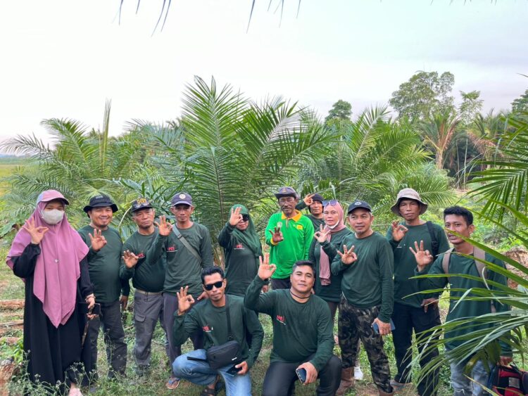 Tingkatkan Kapasitas dan Produktivitas, SPKS Lakukan Pelatihan Budidaya Sawit Kepada Petani Sawit Swadaya di Konut