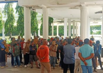 Hasil Seleksi PPPK di Pemkab Muna Diwarnai Dugaan Honorer “Siluman”