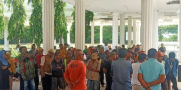 Hasil Seleksi PPPK di Pemkab Muna Diwarnai Dugaan Honorer “Siluman”