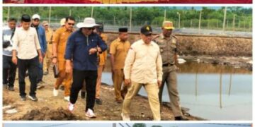 Berkah Ramadhan, Bupati Muna Hadiri Panen Udang Vaname
