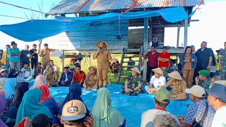 Bupati Mubar Bersama Dandim Muna dan Kepala Bulog Raha Sapa Para Petani di Lawada Jaya