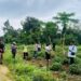 Tahun 2025 BPN Mubar Ungkap Telah Terima 14 Aduan Sengketa Tanah Akibat Hilangnya Tanda Batas