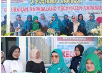 Perkuat Kapasitas Posyandu, Arinta Anila Andi Sumangerukka Lakukan Kunker di Kabupaten Muna