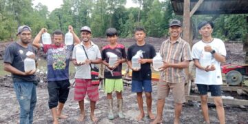 Sejarah Baru: Penebaran Benur Udang Vannamei di Desa Lanobake, Kabupaten Muna