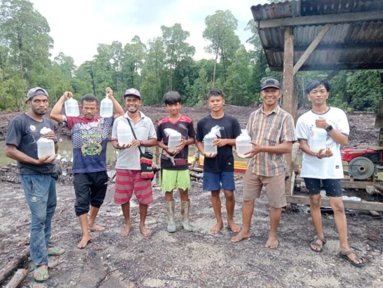 Sejarah Baru: Penebaran Benur Udang Vannamei di Desa Lanobake, Kabupaten Muna