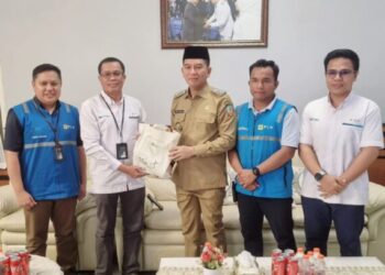 Perkuat Sinergitas, Manajemen PLN UP2K Sultra dan ULP Konsel Bertemu dengan Bupati Konsel