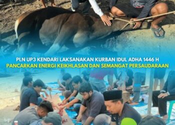 PLN UP3 Kendari Laksanakan Kurban Idul Adha 1446 H, Pancarkan Energi Keikhlasan dan Semangat Persaudaraan